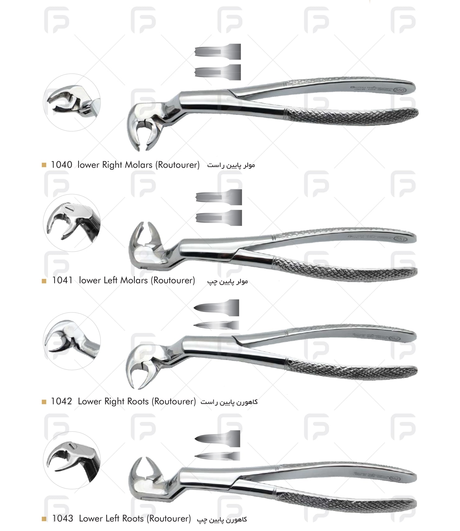 Routourer Forceps